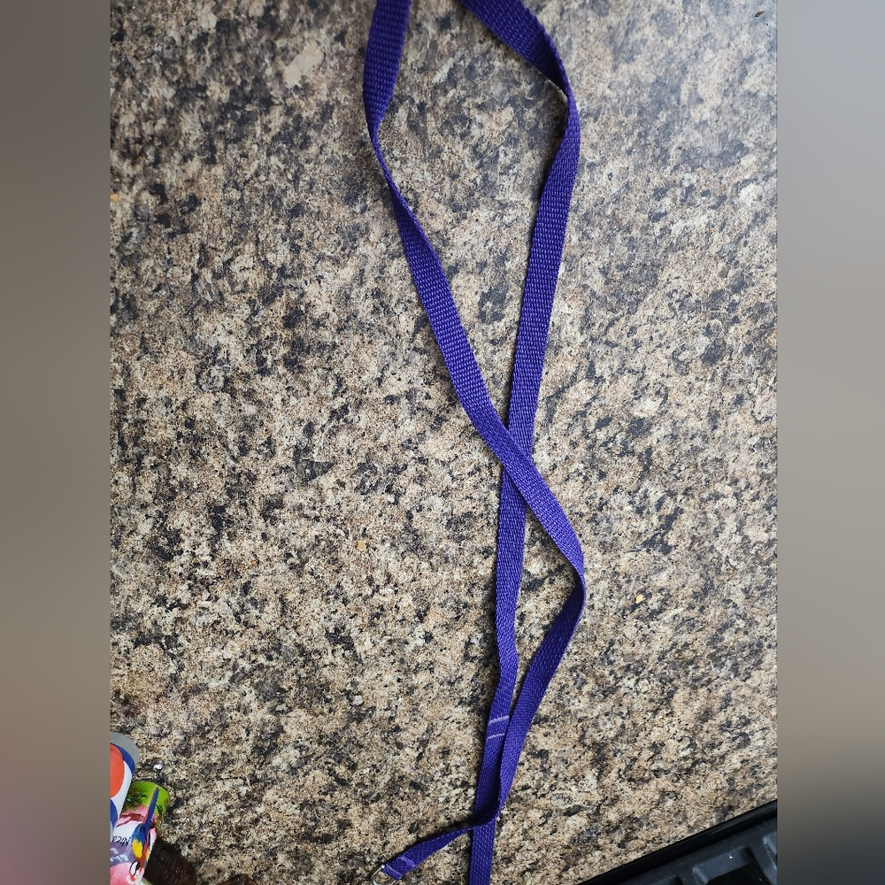 Purple leash